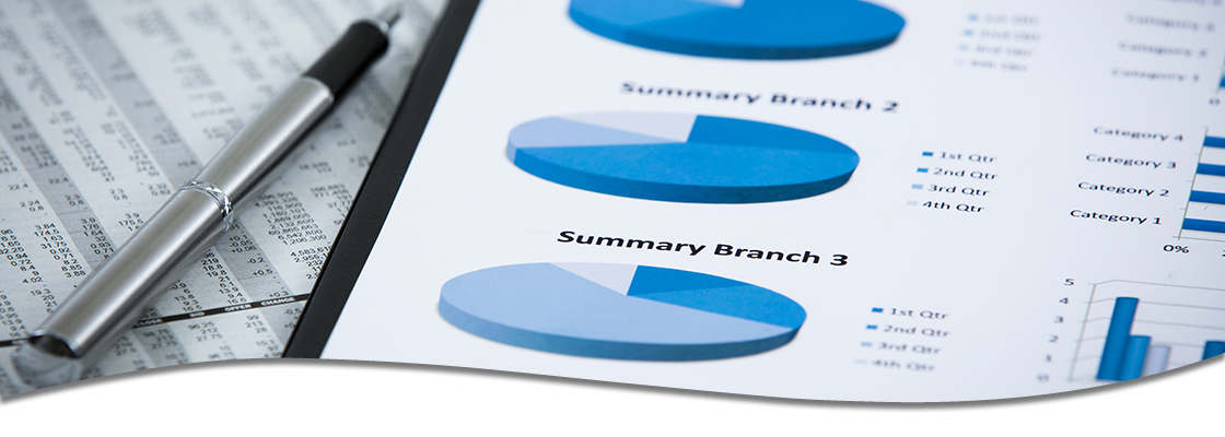 Report of branch locations with graphs