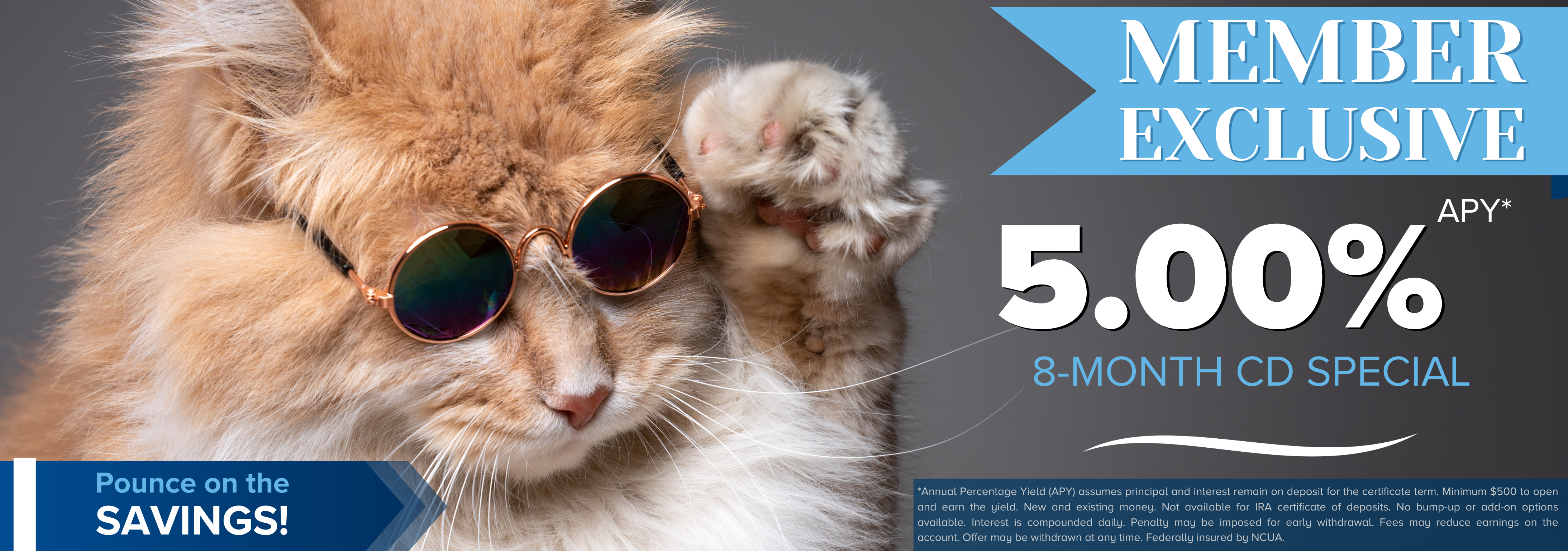 Cat lowering sunglasses from its eyes. 8-Month Member-Exclusive CD Special for 5.00%A PY*