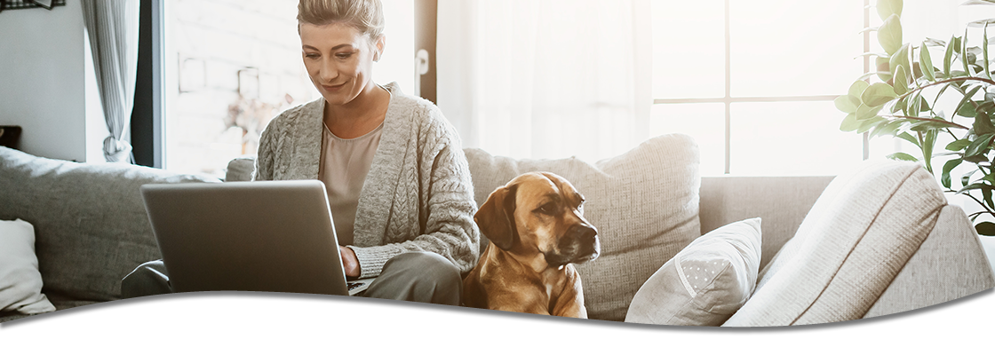 Woman and dog on couch. Woman working on laptop